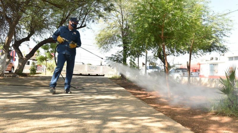 Limpieza de espacios públicos ayuda a proteger salud de hermosillenses: Celida López