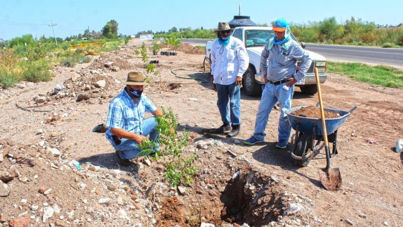 Ecología y Turismo continua con el programa Plantemos Vida