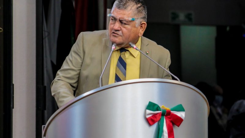 RATIFICANINICIATIVA DEL DIPUTADO MARTÍN MATRECITOS EN ESTABLECIMIENTO DE PLAZOS PARA EXPEDIR LOS REGLAMENTOS DE LEYES APROBADAS