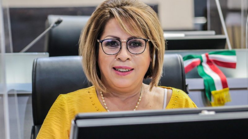 IMPULSA DIPUTADA MIROSLAVA LUJÁNPROGRAMA DE APOYO PARA CONSUMIDORES DE ENERGÍA ELÉCTRICA