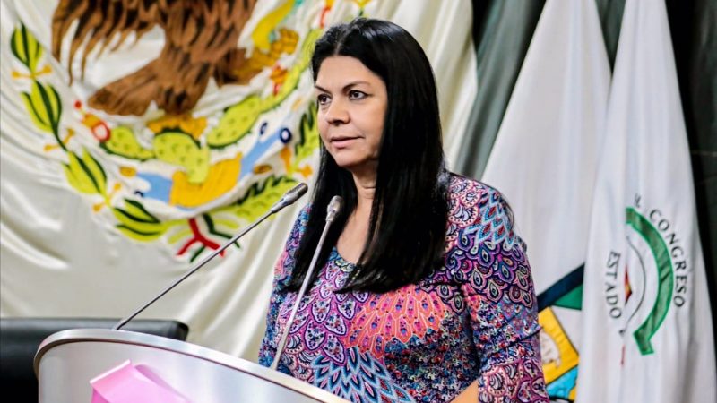 APRUEBAN INICIATIVA DE LA DIPUTADA ERNESTINA CASTRO EN MATERIA DE JUSTICIA LABORAL