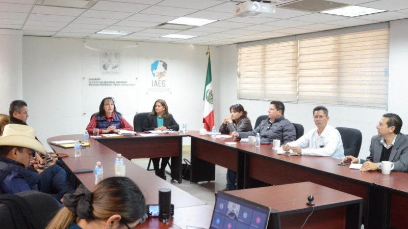 Gobierno de Sonora capacitará a pescadores en primeros auxilios