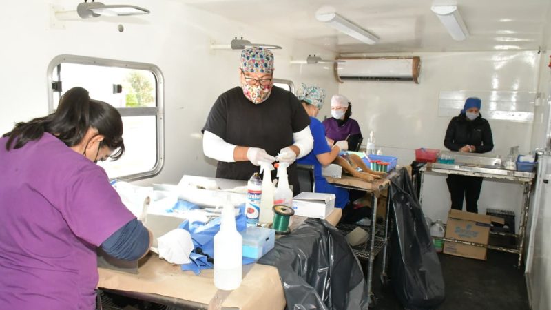 Continúa Gobierno de Hermosillo ofreciendo esterilizaciones gratuitas a caninos y felinos del 24 al 27 de septiembre